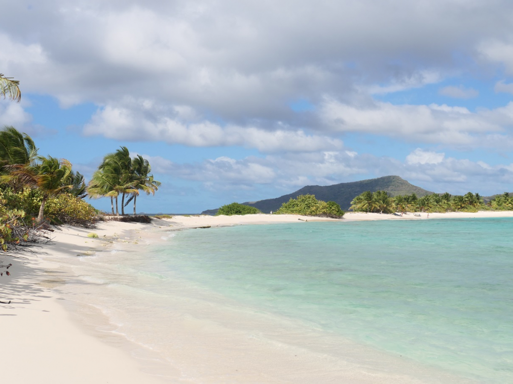 2024-03-06 Sandy Island, Grenada